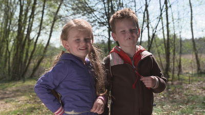 Puck en het verdwenen schaap