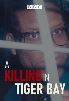 A Killing in Tiger Bay (2021&#8209;&nbsp;)