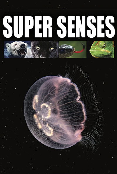 Supersenses
