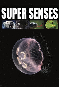 Supersenses (2019)