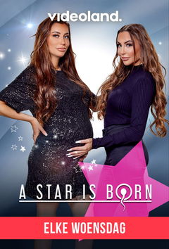 A Star is Born (2021)