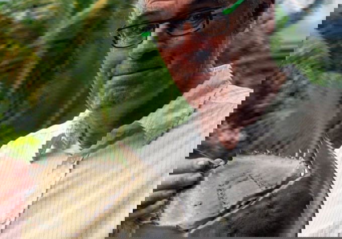 Beste Miniseries 2021 op NPO Start &amp; Plus (december 2025)