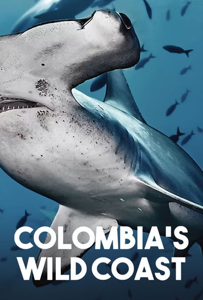 Colombia's Wild Coast