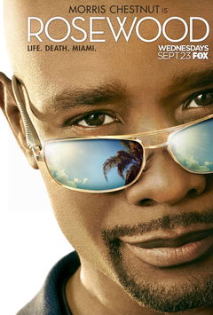 Rosewood (2015&#8209;2017)