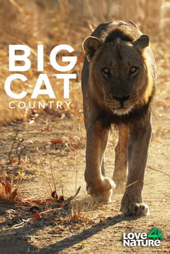 Big Cat Country (2019)