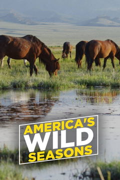 America's Wild Seasons (2019)