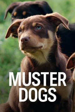 Muster Dogs (2022&#8209;&nbsp;)