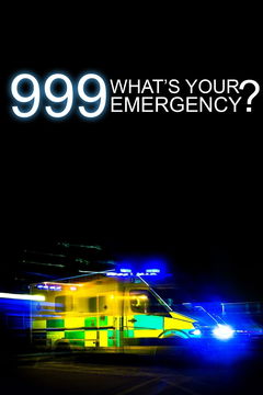 999: What's Your Emergency? (2012‑ )