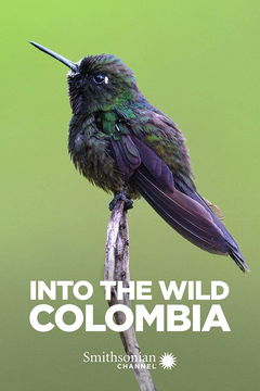 Into the Wild: Colombia (2018&#8209;&nbsp;)