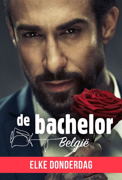 De Bachelor België