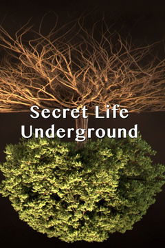 Secret Life Underground (2015)