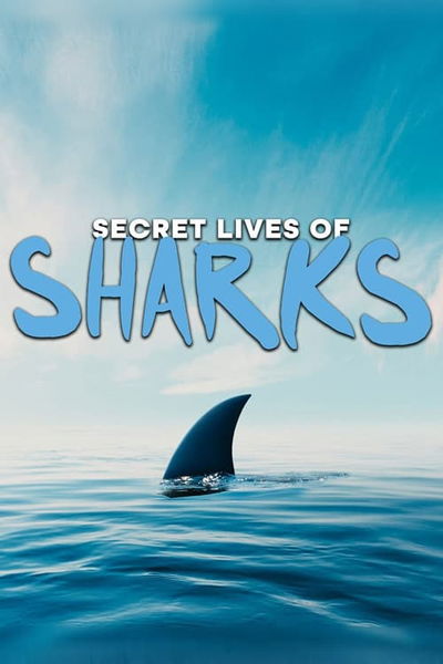 Secret Lives of Sharks