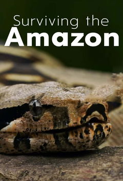 Surviving the Amazon (2018&#8209;2019)