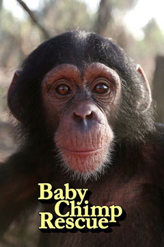 Baby Chimp Rescue (2020&#8209;&nbsp;)