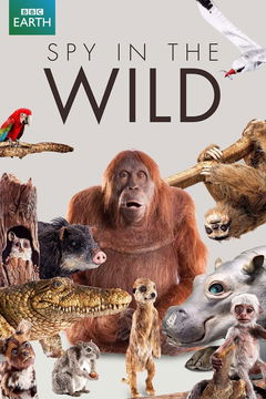 Spy in the Wild (2017‑2020)