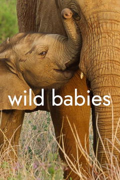 Wild Babies (2022&#8209;&nbsp;)