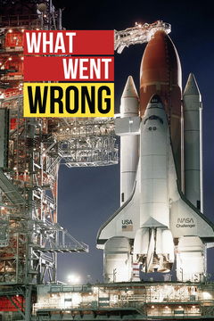 What Went Wrong (2019&#8209;&nbsp;)