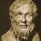 Numenius
